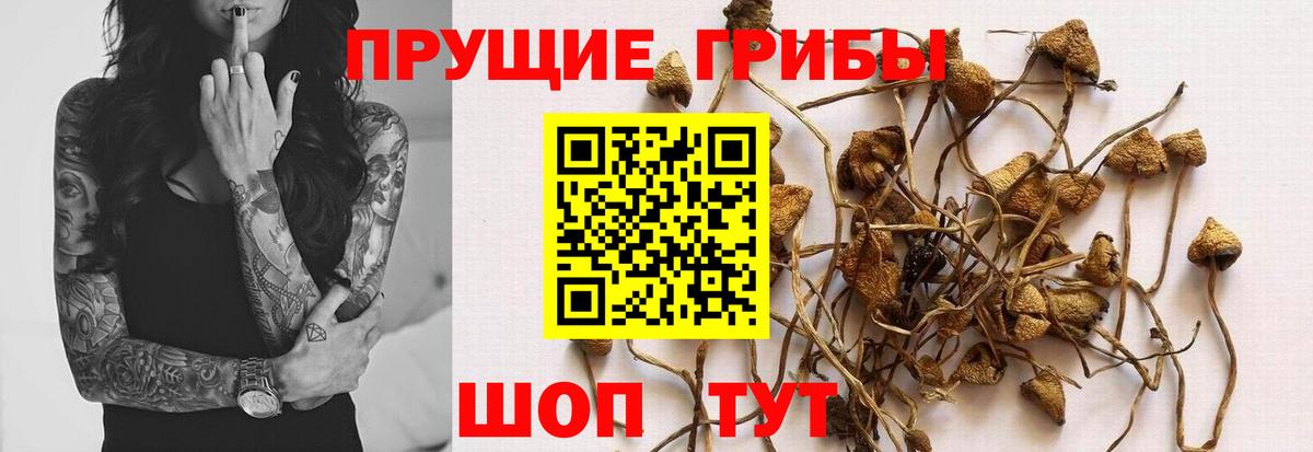 Псилоцибиновые грибы Magic Shrooms  Вход с VPN  Фролово 