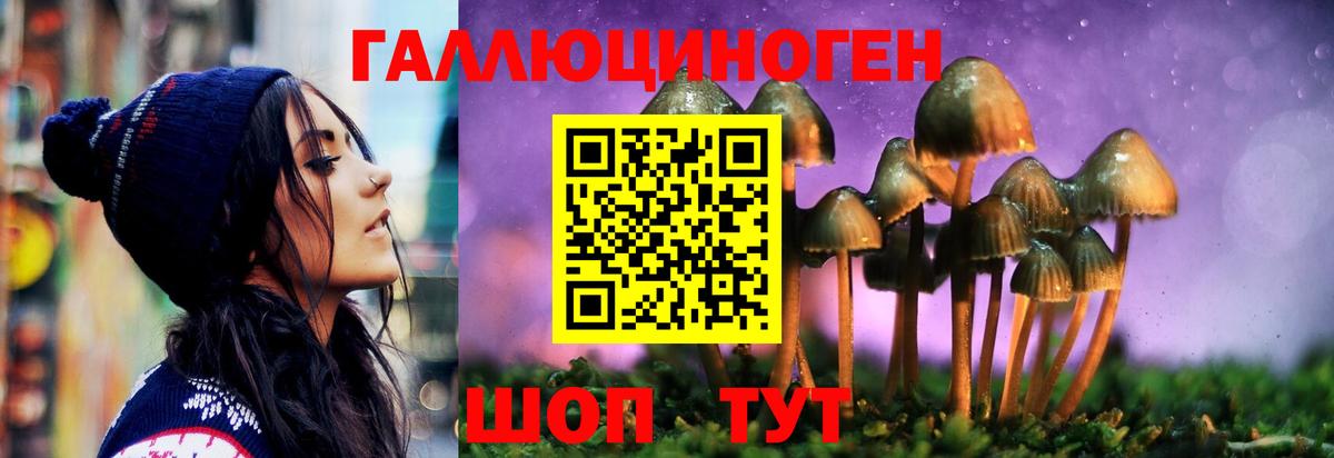 Галлюциногенные грибы Psilocybe Фролово